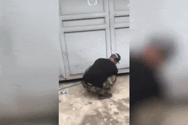 Clip: Bị nhóm côn đồ xăm trổ hùng hổ cưa cửa, đập phá nhà giữa ban ngày, gia chủ chỉ biết bất lực kêu trời-1