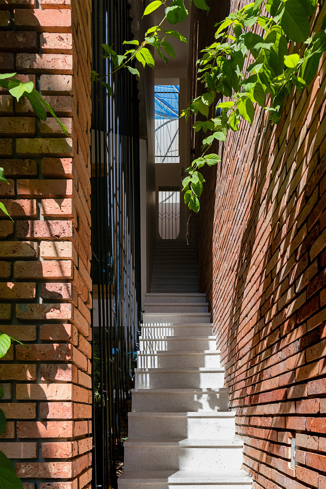 Nhà 115m2 ở Đà Nẵng gây ấn tượng với kiến trúc nhiệt đới độc lạ, càng vào sâu càng quyến rũ khó tả-3