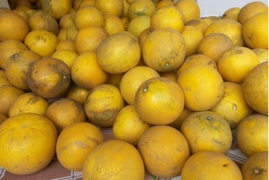 Mua bưởi không cần bổ thử, cứ nhìn điểm này là biết bưởi ngon, vỏ mỏng lại nhiều múi nhất