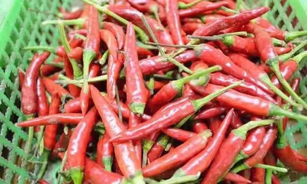 Người phụ nữ 34 tuổi phát hiện bị ung thư tuyến giáp do thường xuyên tiêu thụ 2 loại gia vị luôn có sẵn trong căn bếp của mỗi gia đình-3