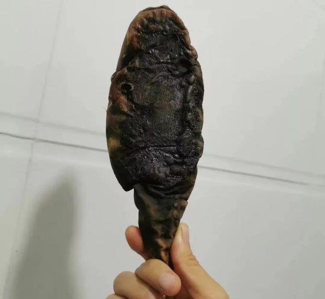 Vì không đáp ứng yêu cầu giữa đêm” của chồng, vợ lâm vào cơn ác mộng khó tả, đến khi nhìn thứ kinh hoàng trên đĩa mới choáng váng-6