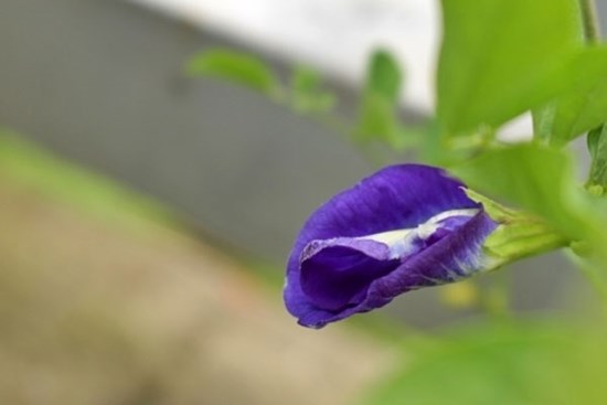 Ngoại tình với người cũ để trả thù bạn thân, tôi nhận kết cục bẽ bàng