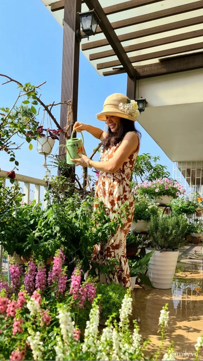 Vườn hoa rực rỡ quanh năm trên sân thượng của mẹ đảm ở Hà Nội dù mỗi ngày chỉ mất 5 - 10 phút chăm sóc-4