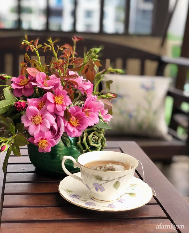 Vườn hoa rực rỡ quanh năm trên sân thượng của mẹ đảm ở Hà Nội dù mỗi ngày chỉ mất 5 - 10 phút chăm sóc-21