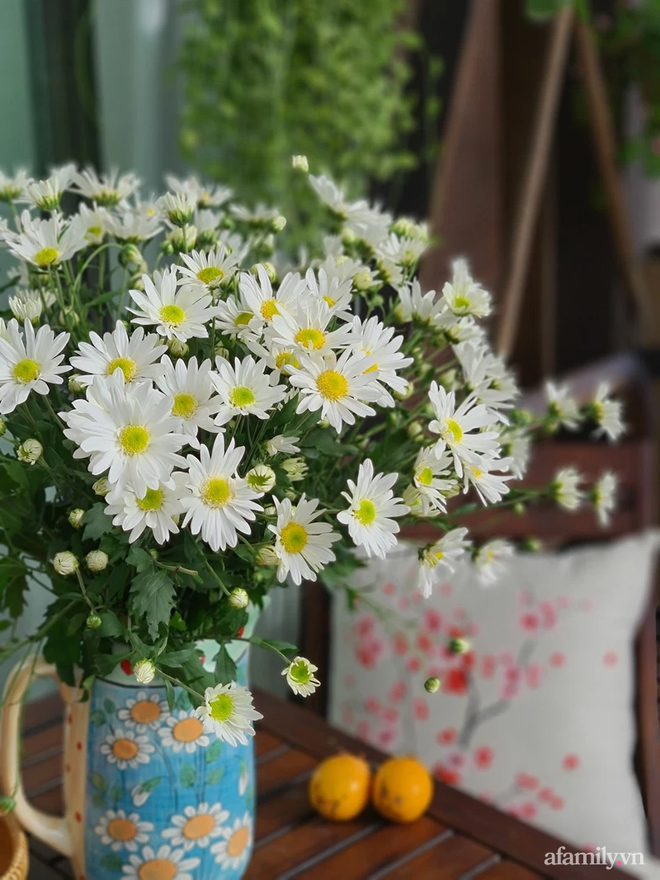 Vườn hoa rực rỡ quanh năm trên sân thượng của mẹ đảm ở Hà Nội dù mỗi ngày chỉ mất 5 - 10 phút chăm sóc-22