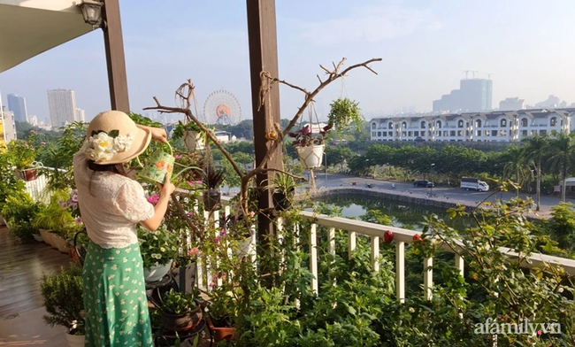 Vườn hoa rực rỡ quanh năm trên sân thượng của mẹ đảm ở Hà Nội dù mỗi ngày chỉ mất 5 - 10 phút chăm sóc-19