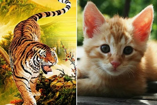 Tuần mới (18-24/10): 3 con giáp có khả năng bứt phá thành đại gia
