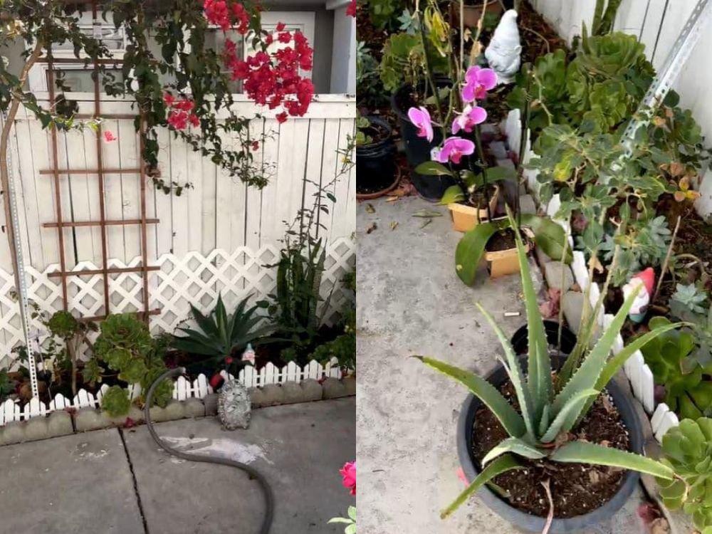 Hình ảnh bên trong căn nhà ở Mỹ của cố ca sĩ Phi Nhung: Mọi thứ vẫn vẹn nguyên nhưng người đã không còn…-1