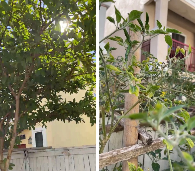 Hình ảnh bên trong căn nhà ở Mỹ của cố ca sĩ Phi Nhung: Mọi thứ vẫn vẹn nguyên nhưng người đã không còn…-2