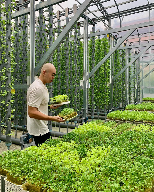 Thiếu gia tập đoàn nghìn tỷ có động thái đứng về phe Chi Pu giữa lùm xùm mất gốc?-3