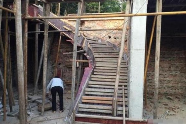 4 loại cây là mèo Thần Tài, đặt ở đâu là gọi lộc lá về ở đó-2