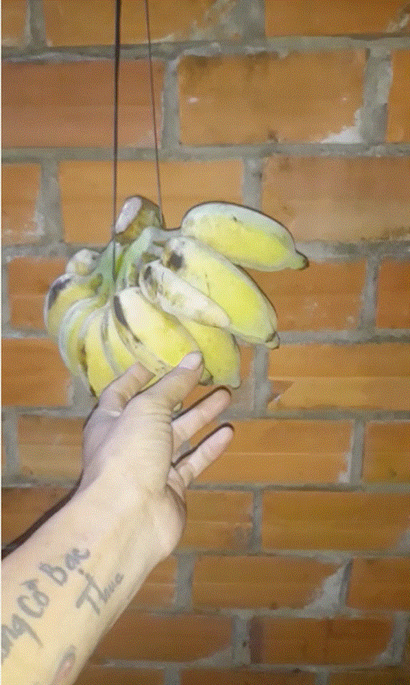 Thanh niên chỉ mẹo giữ cho chuối luôn bất tử và tươi ngon, dân tình làm theo và cái kết không thể nào bất ngờ hơn-2