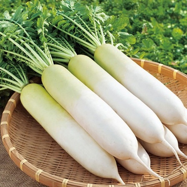 Bộ phận bổ tựa nhân sâm của củ cải, tận dụng có thể kéo dài thanh xuân và trị bệnh rất tốt nhưng nhiều người vẫn vô tư ném bỏ-1