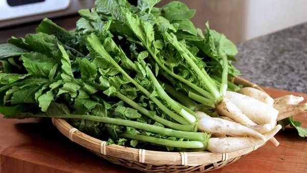 Bộ phận bổ tựa nhân sâm của củ cải, tận dụng có thể kéo dài thanh xuân và trị bệnh rất tốt nhưng nhiều người vẫn vô tư ném bỏ-2
