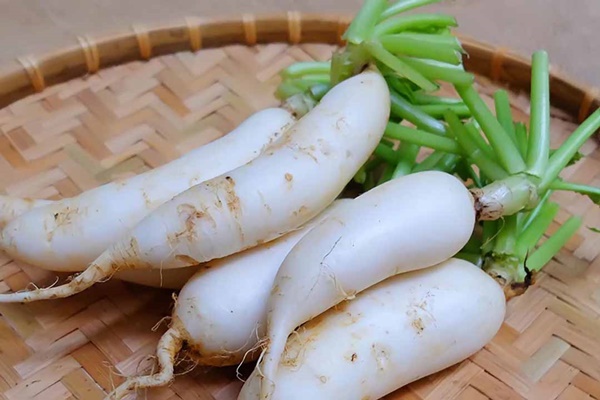 Bộ phận bổ tựa nhân sâm của củ cải, tận dụng có thể kéo dài thanh xuân và trị bệnh rất tốt nhưng nhiều người vẫn vô tư ném bỏ-4