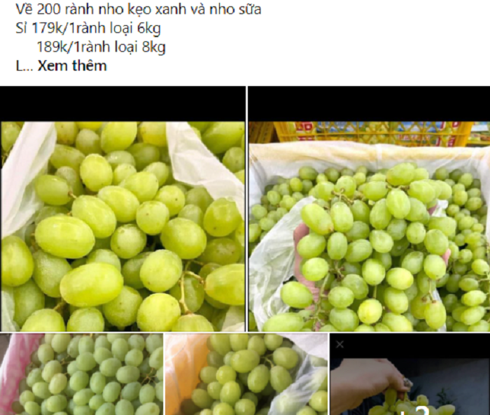 Nho Trung Quốc phủ sóng chợ mạng giá rẻ giật mình, chị em tấp nập mua về phơi khô nguyên cành-1