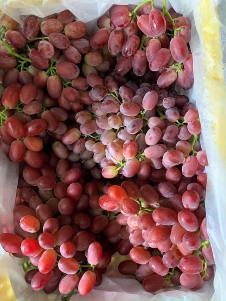 Nho Trung Quốc phủ sóng chợ mạng giá rẻ giật mình, chị em tấp nập mua về phơi khô nguyên cành-3