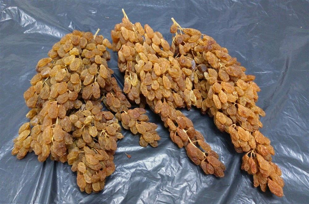 Nho Trung Quốc phủ sóng chợ mạng giá rẻ giật mình, chị em tấp nập mua về phơi khô nguyên cành-4