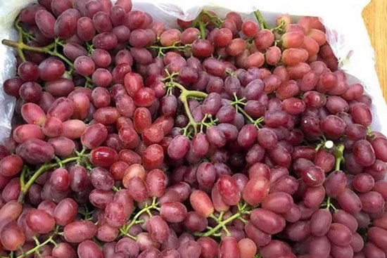 Nho Trung Quốc phủ sóng chợ mạng giá rẻ giật mình, chị em tấp nập mua về phơi khô nguyên cành