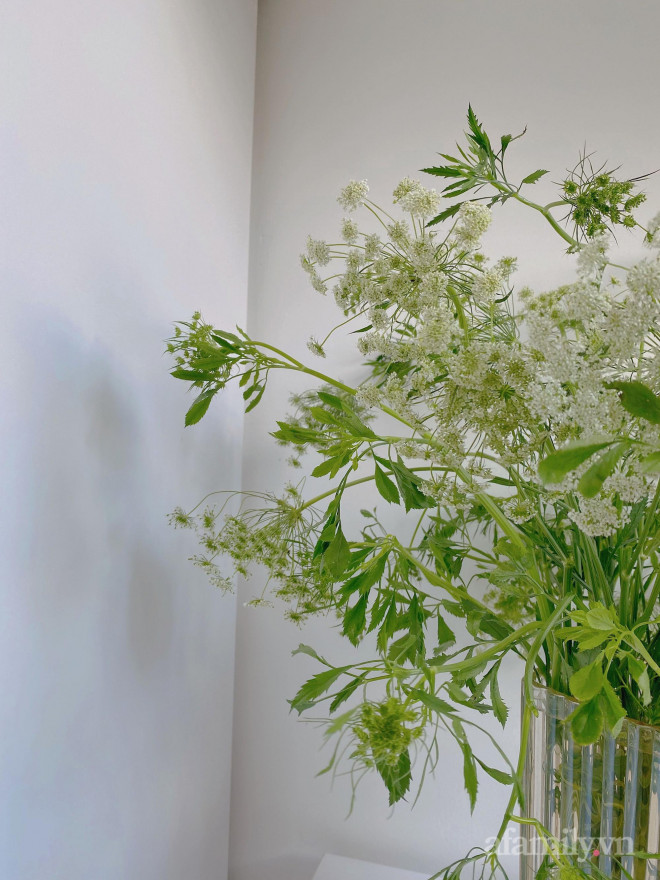 Mới - lạ hoa cà rốt, thu hút nhiều bà nội trợ mua về cắm-2