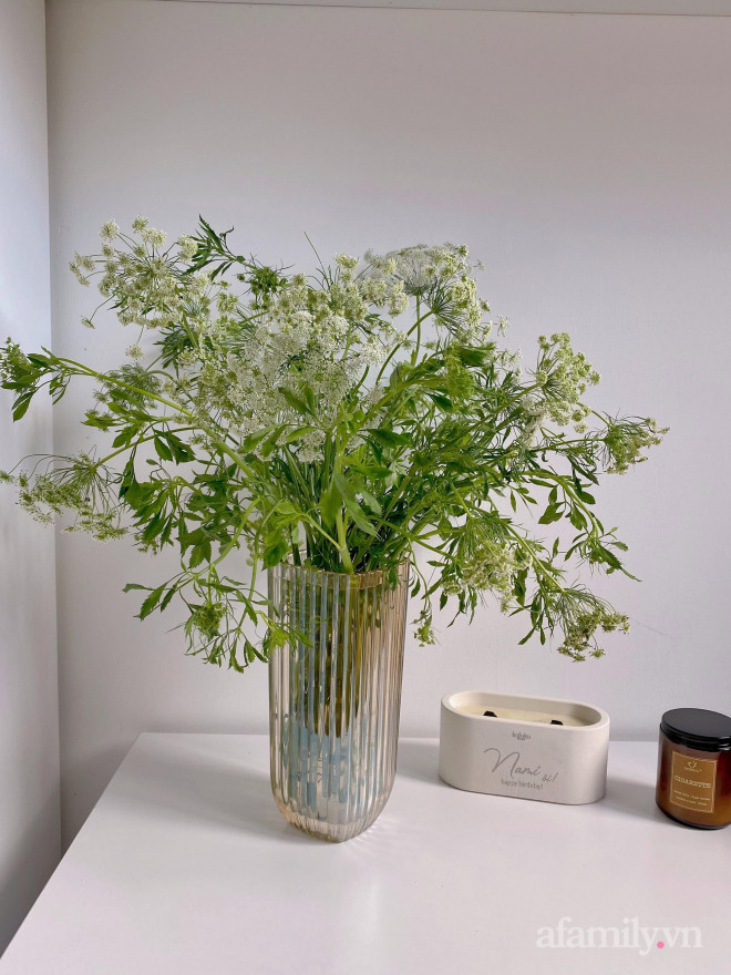 Mới - lạ hoa cà rốt, thu hút nhiều bà nội trợ mua về cắm-5