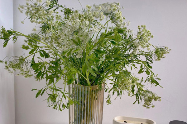 Chán hoa tươi, chị em lùng mua lúa mì về cắm, tiểu thương bán hàng nghìn bó/ngày-5