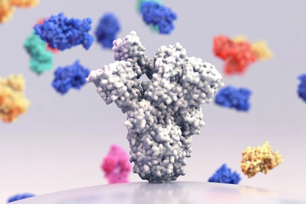 Phát hiện siêu kháng thể vô hiệu hoá tất cả biến thể SARS-CoV-2-2