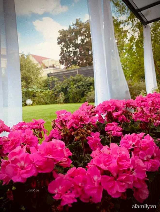 Ngôi nhà với phong cách tối giản thư thái và khu vườn đẹp chẳng khác gì chốn thần tiên của mẹ Việt-11