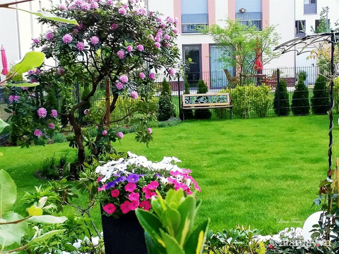 Ngôi nhà với phong cách tối giản thư thái và khu vườn đẹp chẳng khác gì chốn thần tiên của mẹ Việt-14