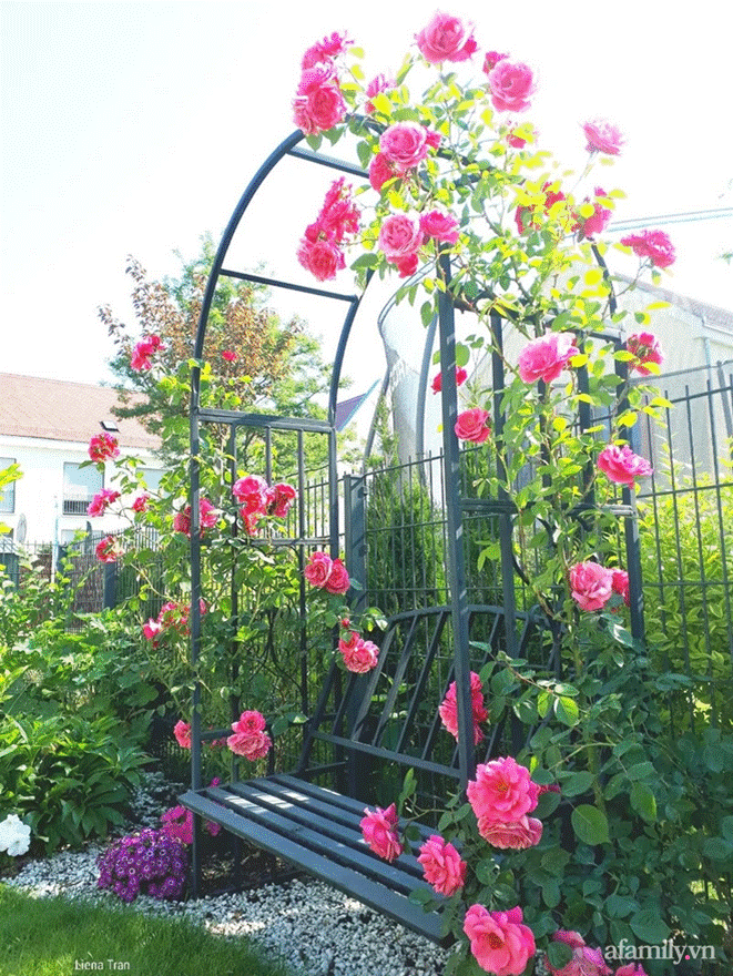 Ngôi nhà với phong cách tối giản thư thái và khu vườn đẹp chẳng khác gì chốn thần tiên của mẹ Việt-15