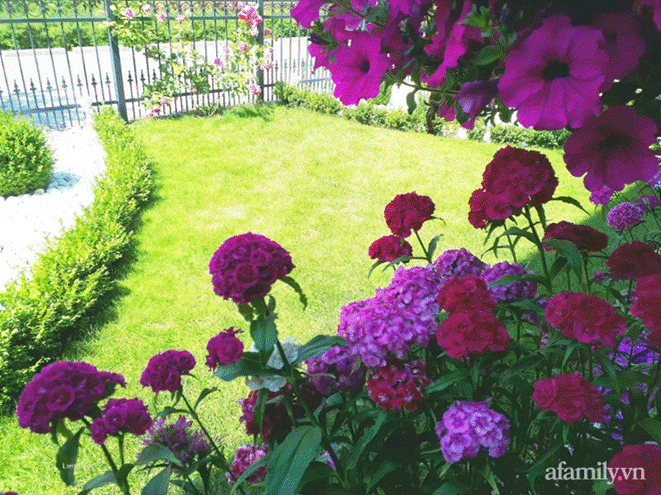 Ngôi nhà với phong cách tối giản thư thái và khu vườn đẹp chẳng khác gì chốn thần tiên của mẹ Việt-23