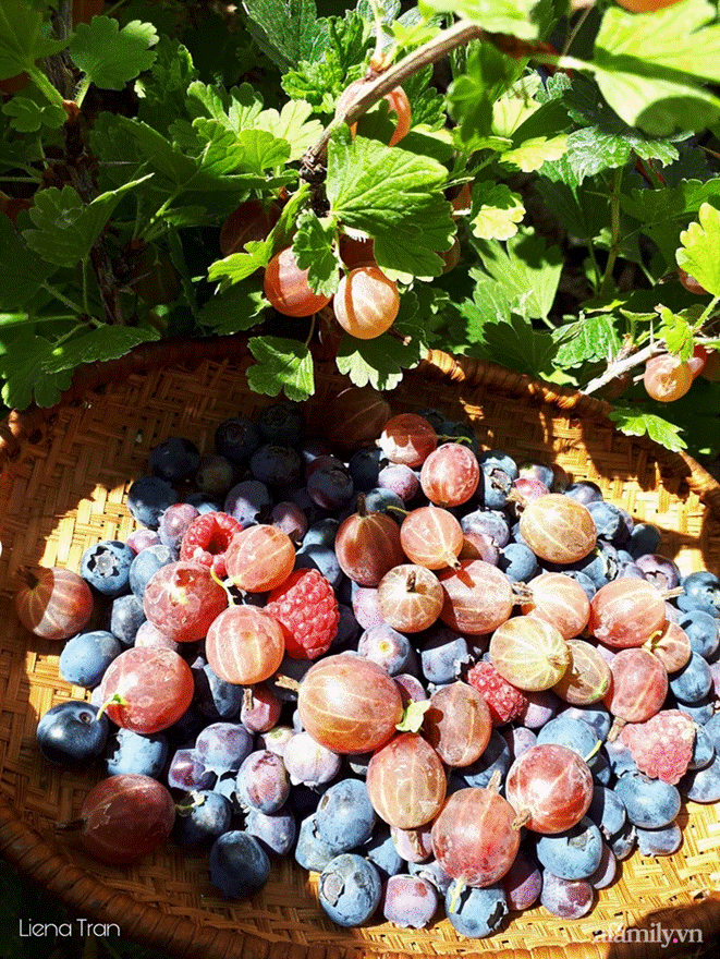 Ngôi nhà với phong cách tối giản thư thái và khu vườn đẹp chẳng khác gì chốn thần tiên của mẹ Việt-35