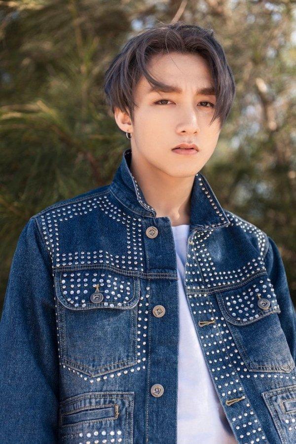 Trấn Thành, Đàm Vĩnh Hưng có thù với tóc bổ luống-9