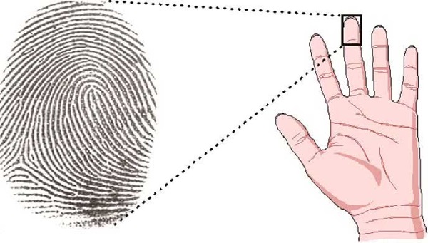 Bỏ 3 giây xem hoa tay để biết vận mệnh của chính mình, tương lai sống đời giàu sang hay khốn khó-2