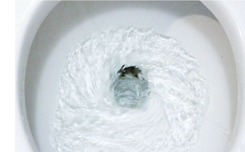 Vệ sinh bồn cầu từ 3 loại nguyên liệu dễ kiếm, các bước đơn giản mà vẫn loại bỏ tất cả các vết bẩn, nấm mốc lại khử trùng, khử mùi hiệu quả-4