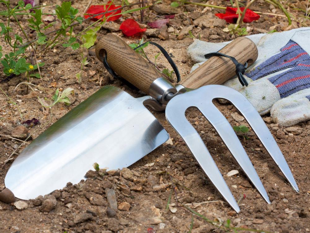 Sữa thừa đừng đổ đi vội, 8 công dụng do sữa mang lại trong việc làm vườn sẽ khiến bạn bất ngờ-1