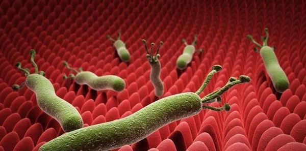 Mới 7 tuổi bé trai đã mắc ung thư, bố mẹ ân hận vì thường xuyên nấu thịt cho con ăn theo cách nguy hiểm này-5