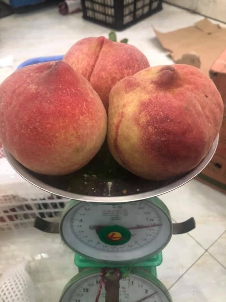 Đào tuyết Lệ Giang đắt khách từ đầu tới cuối vụ, tiểu thương nhiều hôm phải treo biển cháy hàng-5