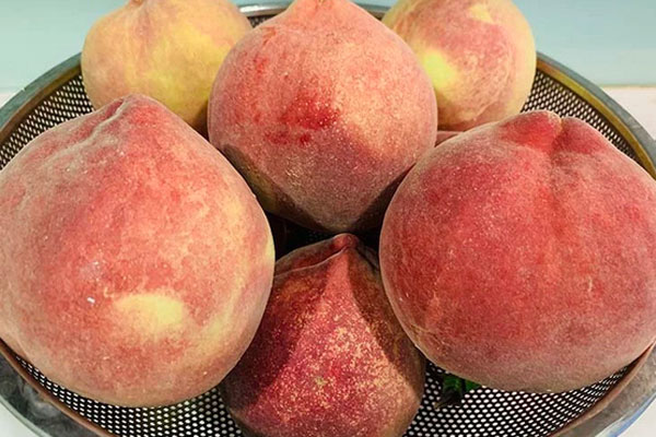 Dân Ấn Độ cuồng vàng đến độ bánh kẹp phủ vàng cũng thành cơn sốt-2