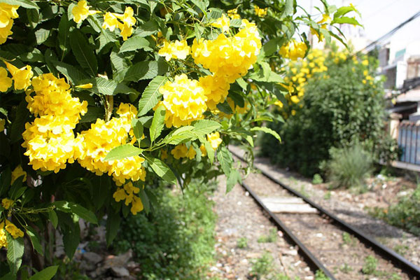 Nhân tình qua đời bỏ lại đứa con mới sinh, tôi chết lặng với hành động của vợ sau đó-1