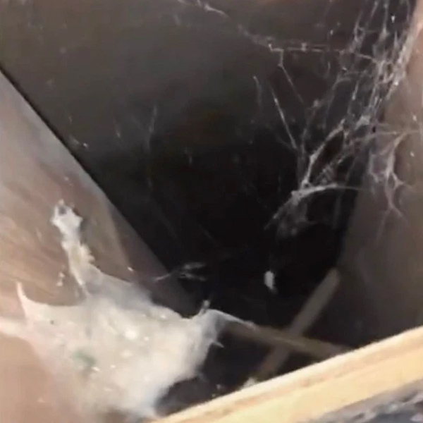 Thấy gầm giường khách sạn sai sai, cô gái cậy sàn lên thì phát hiện điều không tưởng, 13 triệu người xem cũng đứng hình sợ hãi-2