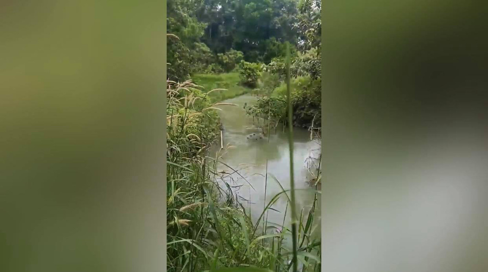 Tìm thấy thi thể bé trai 2 tuổi mất tích ở Bình Dương-2