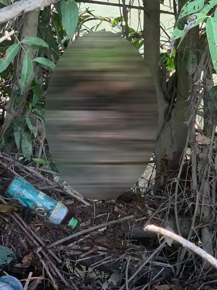 Hình ảnh hiện trường nơi tìm thấy thi thể nghi là bé trai 2 tuổi mất tích ở Bình Dương-2