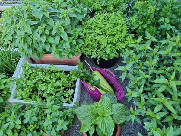 Vợ đảm ở Đức mê nấu ăn, trổ tài với loạt món ngon đậm đà hương vị Việt, chỉ 1 tiếng là có mâm cơm hoành tráng như nhà hàng-19