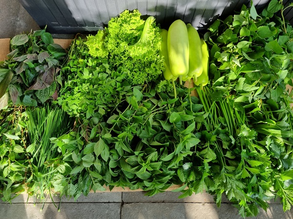 Vợ đảm ở Đức mê nấu ăn, trổ tài với loạt món ngon đậm đà hương vị Việt, chỉ 1 tiếng là có&nbsp;mâm cơm hoành tráng như nhà hàng-18