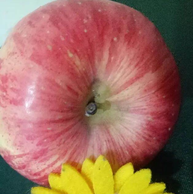 Táo cũng được chia thành quả đực và quả cái! Hãy ghi nhớ 4 mẹo này, bạn sẽ chọn đc quả táo giòn, ngọt và mọng nước-2