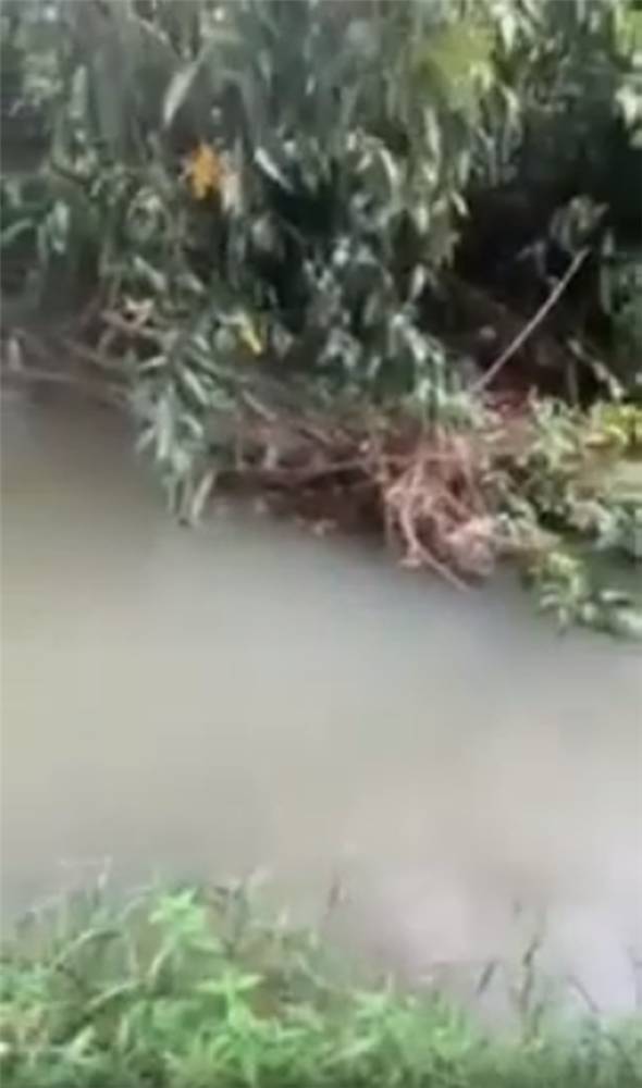 Vụ bé trai 2 tuổi ở Bình Dương tử vong sau 5 ngày mất tích: Gia đình xin không nhận quyên góp, giúp đỡ từ cộng đồng-1