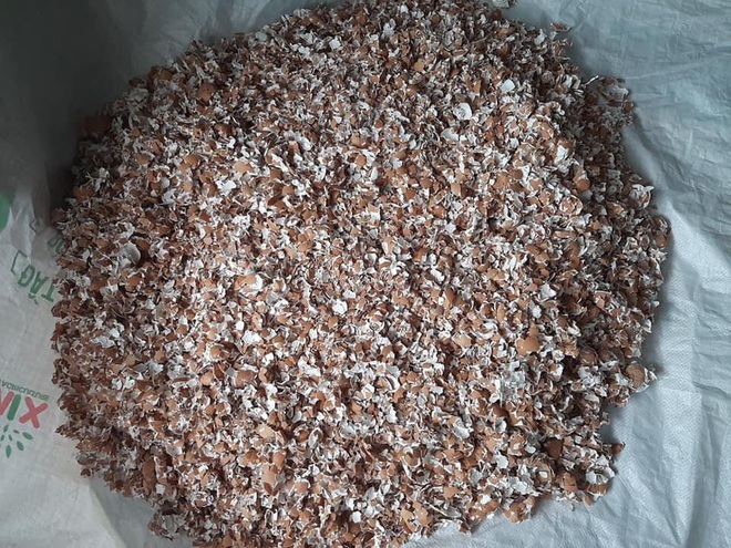 8 lợi ích bất ngờ từ vỏ trứng các bà nội trợ nên biết-2