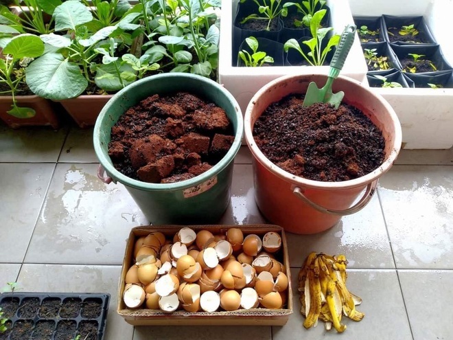 8 lợi ích bất ngờ từ vỏ trứng các bà nội trợ nên biết-3