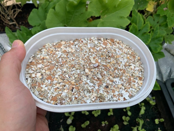 8 lợi ích bất ngờ từ vỏ trứng các bà nội trợ nên biết-4